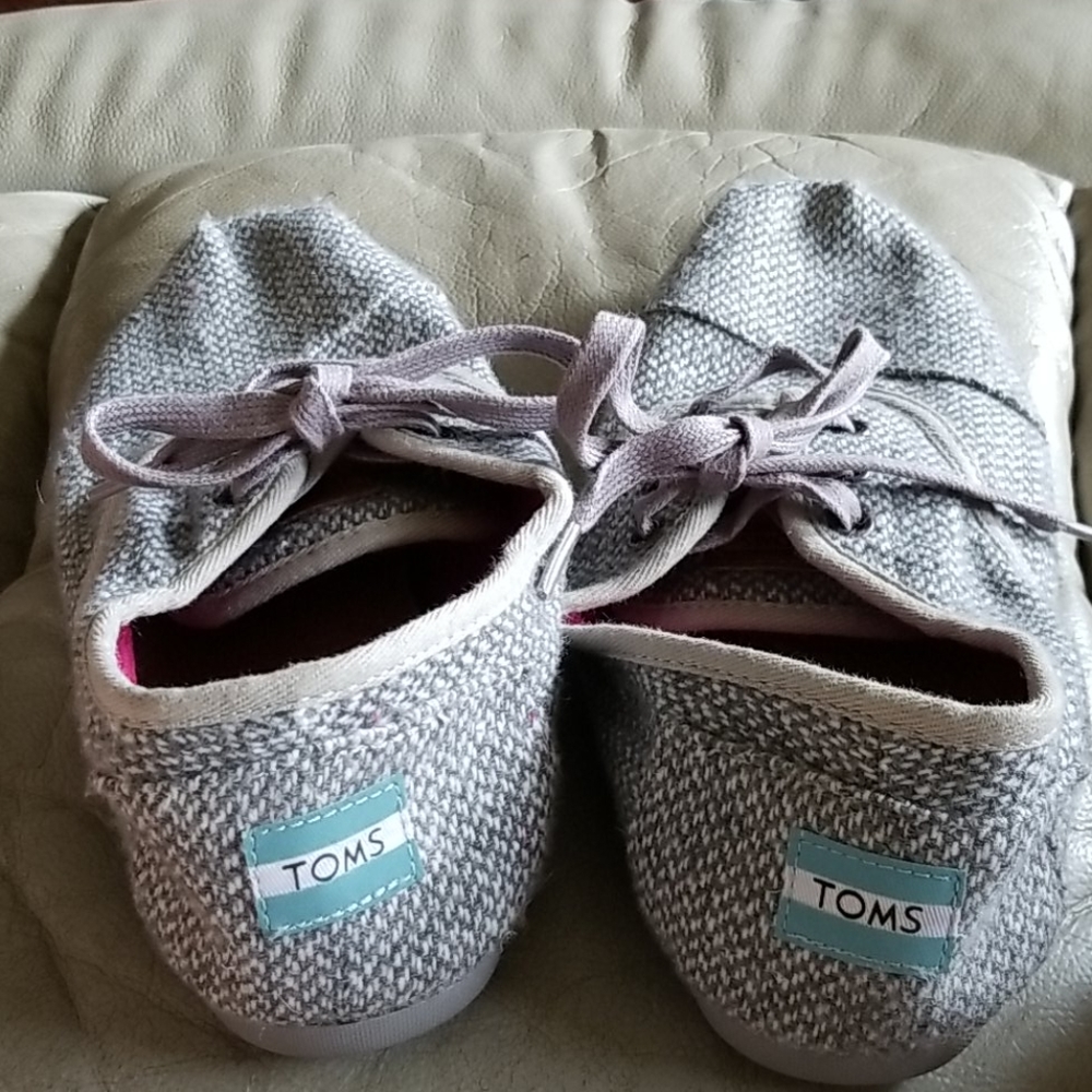 Tom's desert sneaker grey